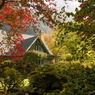 A canopy of trees with red, yellow and green leaves surround Milner House.