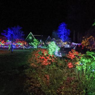 Red, green and blue Christmas lights adorn trees and bushes and the roof of Milner House.