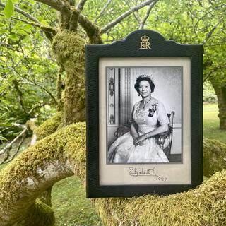 Signed portrait of Queen Elizabeth on a tree branch
