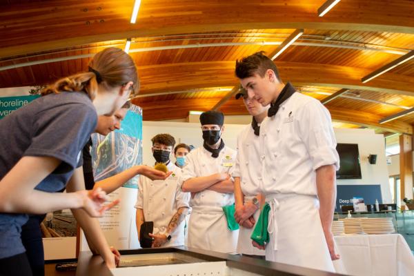 Students look at sea urchins together