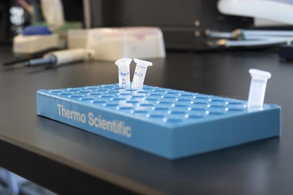 Clear test tubes in a blue tray labelled Thermo Scientific.