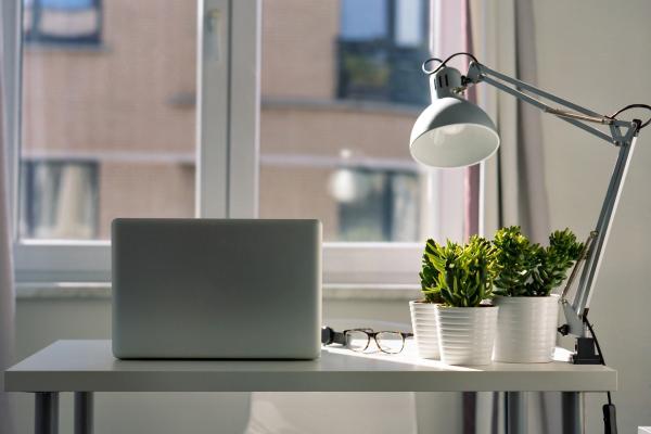 Photo of a desk with natural light coming in from a window and plants sitting on the desk