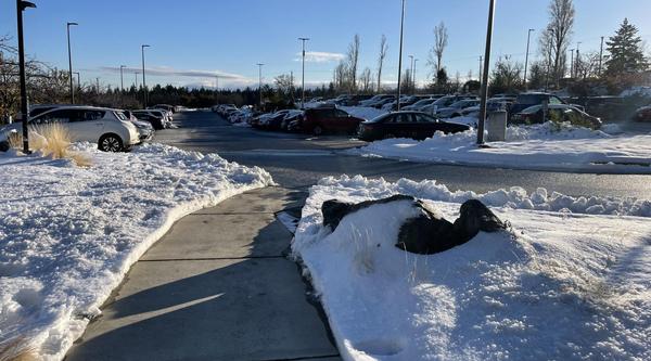 Picture of a VIU Nanaimo campus parking lot and sidewalk that have been cleared of snow