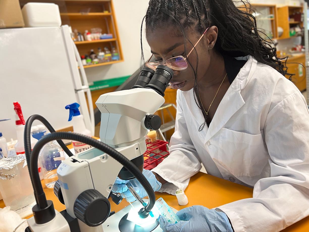 Sarima Amadi looks into a microscope in the biology lab, while wearing a white lab coat.