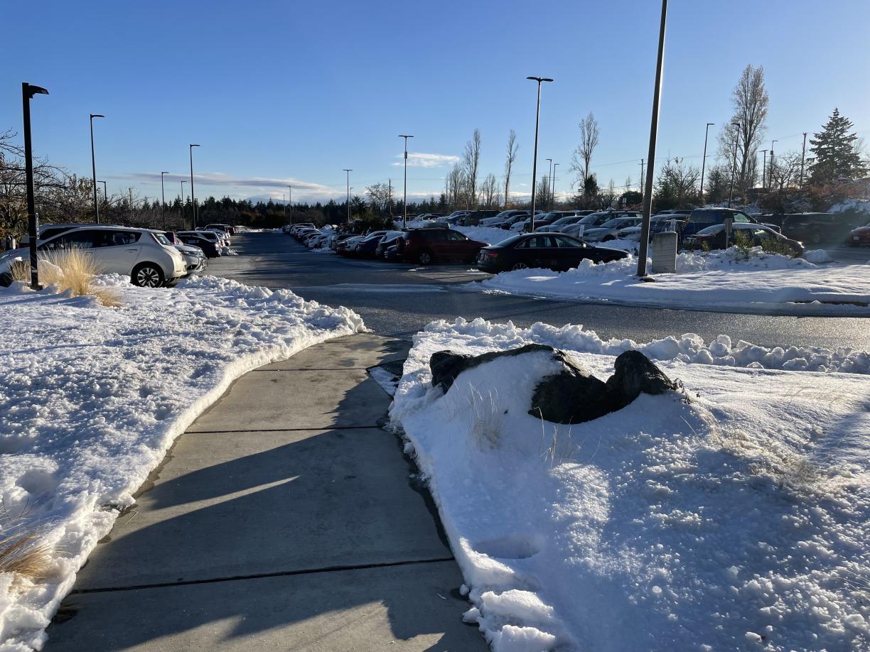 A clear path that has had the snow shoveled off of it with bright blue sky.