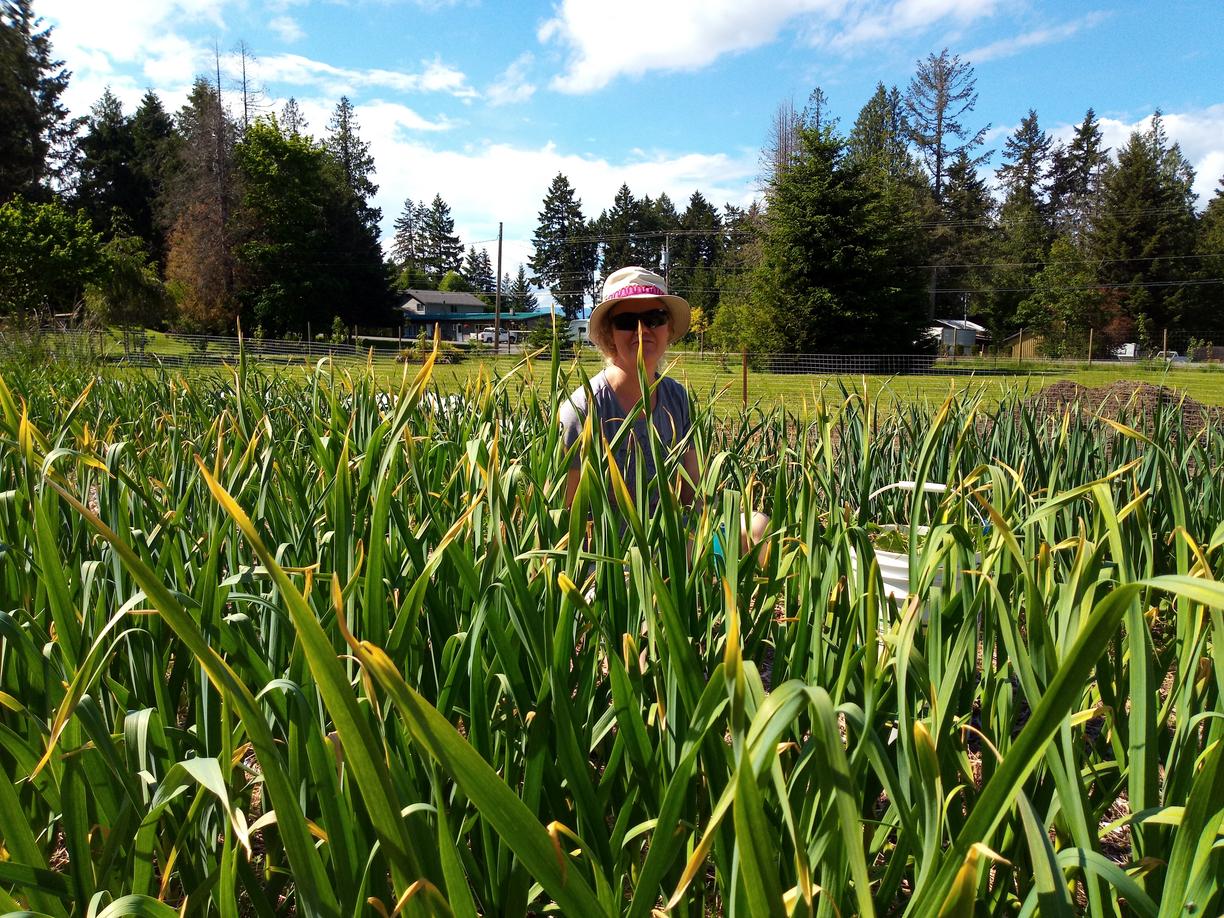 Toni sits in a field of garlic